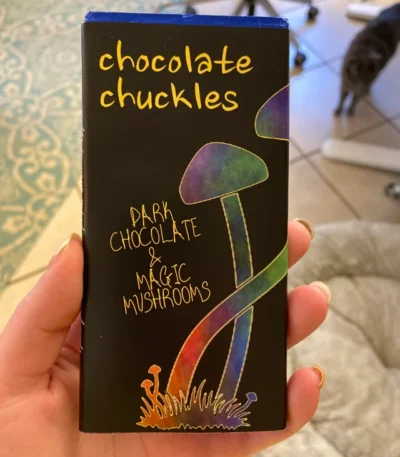 psilocybin mushroom chocolate