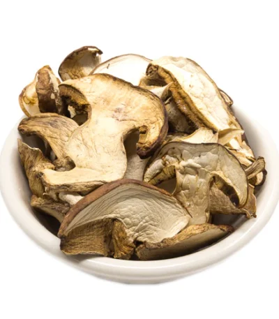 porcini mushrooms